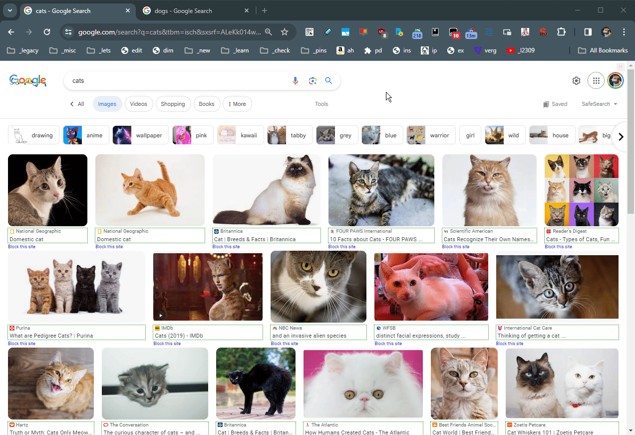 the great suspenderみたいな拡張機能